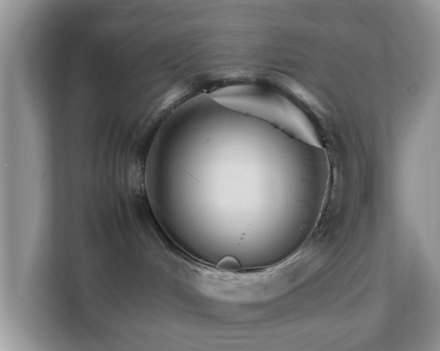 X0000111680048200907241242