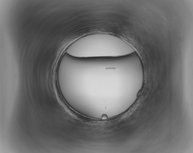 X0000111680049200907241241