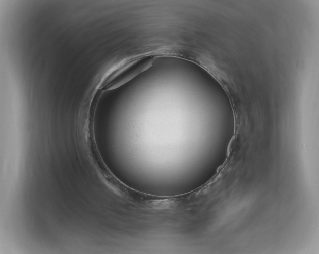 X0000111680050200907241241