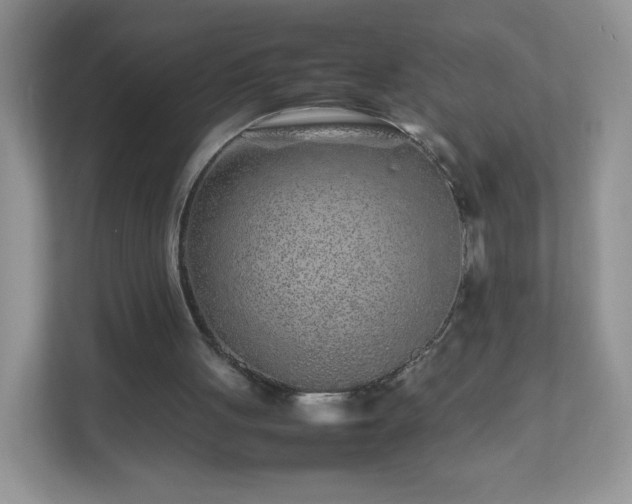 X0000111680051200907241241