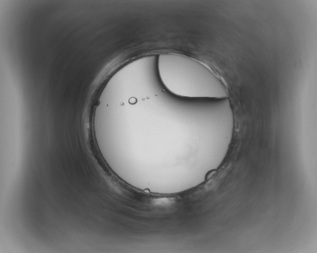 X0000111680053200907241241