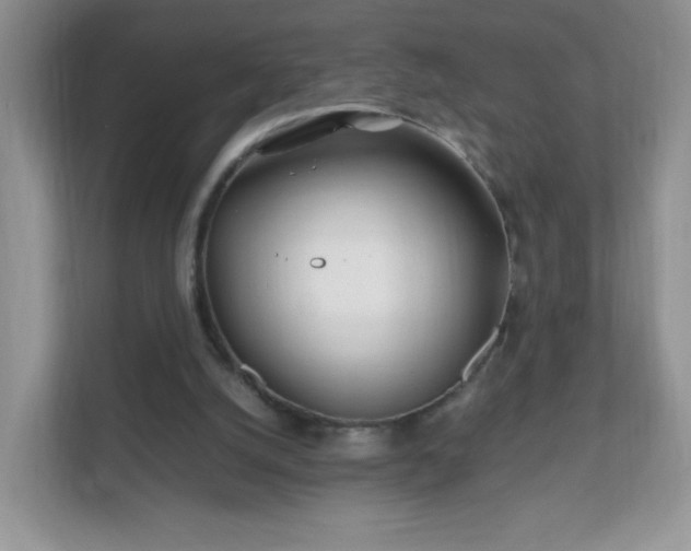 X0000111680056200907241241