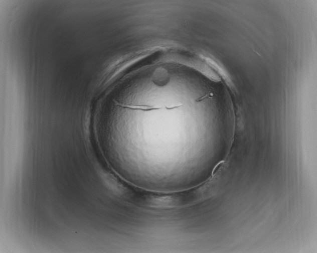 X0000111680058200907241241