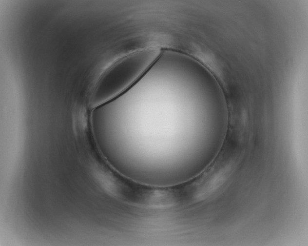 X0000111680060200907241241