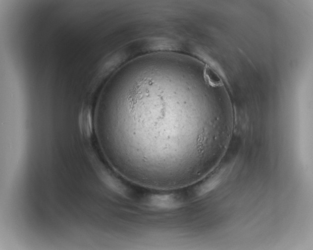 X0000111680061200907241241