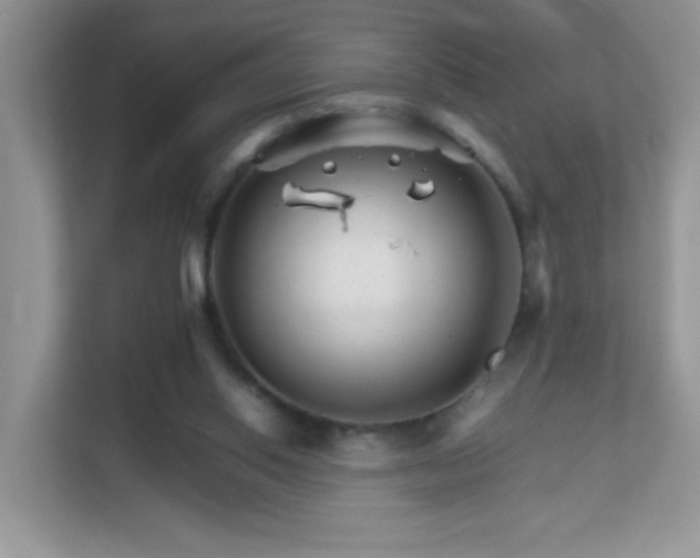 X0000111680062200907241241