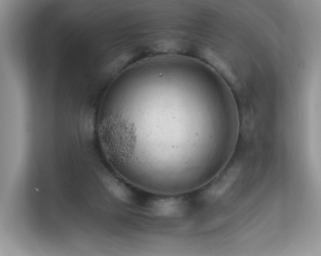 X0000111680065200907241241