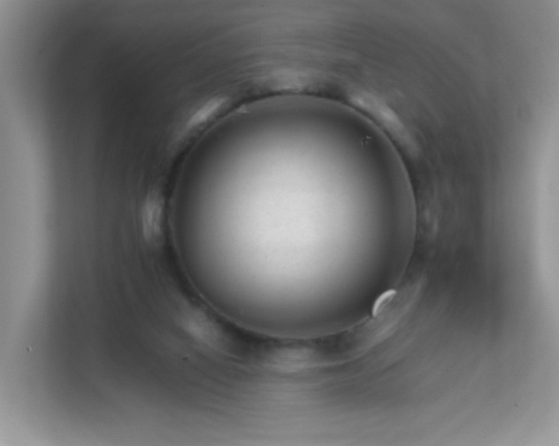 X0000111680066200907241241