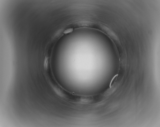 X0000111680070200907241241