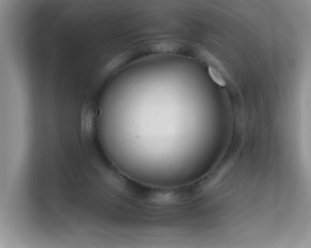 X0000111680071200907241241