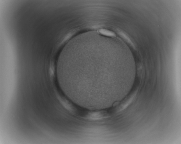 X0000111680072200907241241