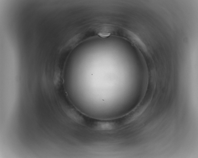 X0000111680073200907241241