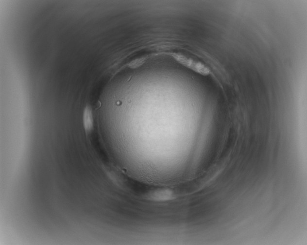 X0000111680075200907241241