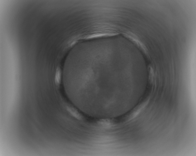 X0000111680076200907241241