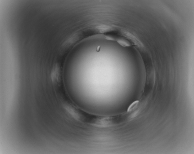 X0000111680078200907241241