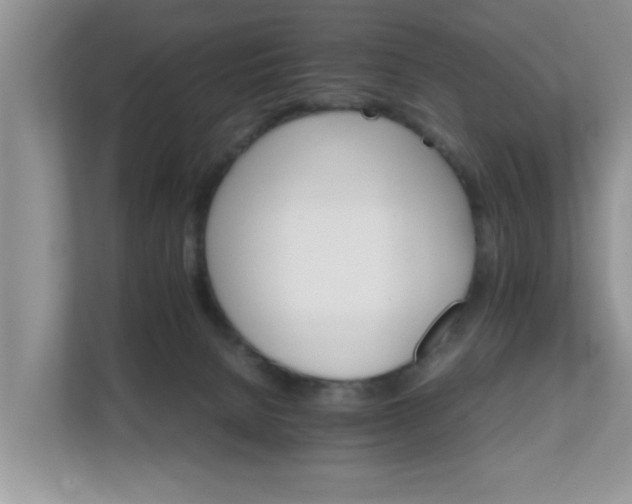 X0000111680080200907241241