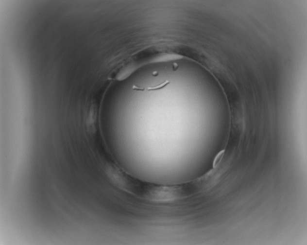 X0000111680082200907241241