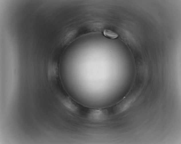 X0000111680083200907241241