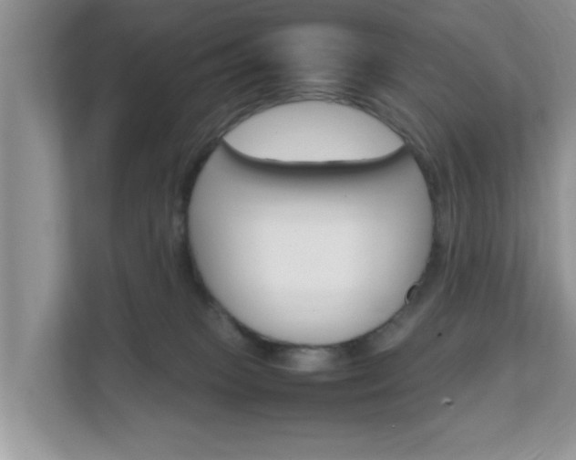 X0000111680085200907241241