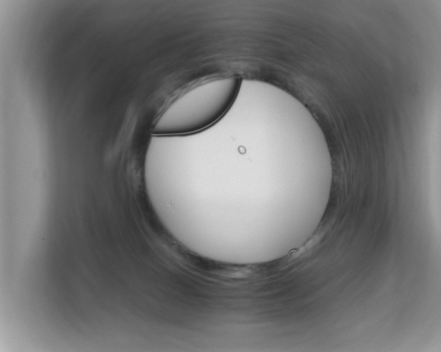 X0000111680086200907241242