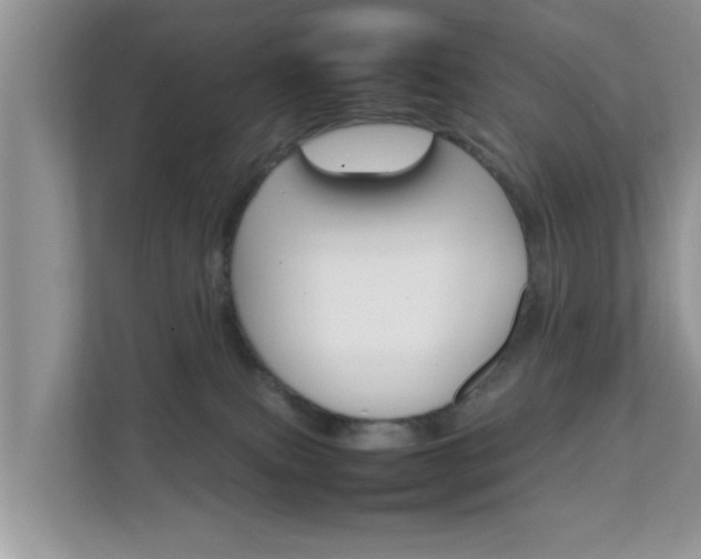 X0000111680087200907241242