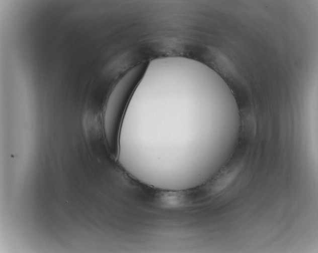 X0000111680088200907241242