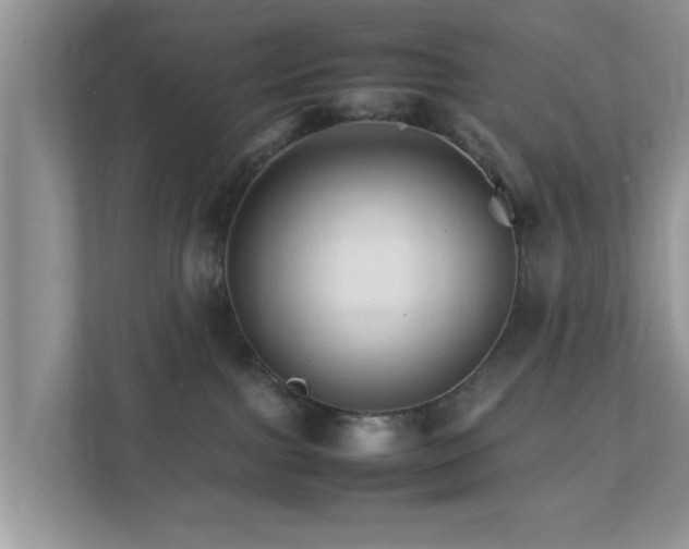 X0000111680091200907241242