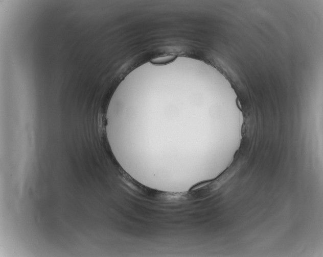 X0000111680093200907241242