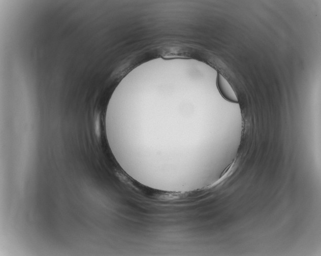 X0000111680094200907241242