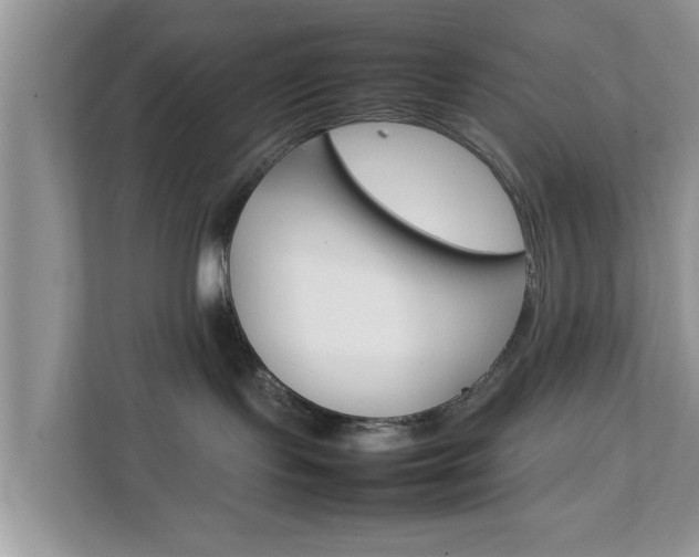 X0000111680095200907241242