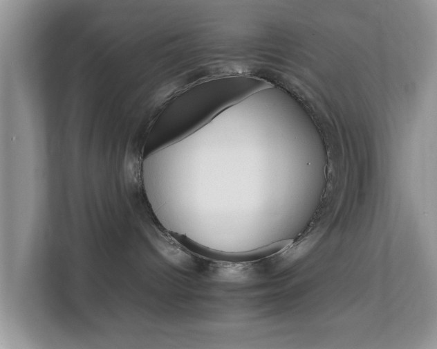 X0000111680096200907241242