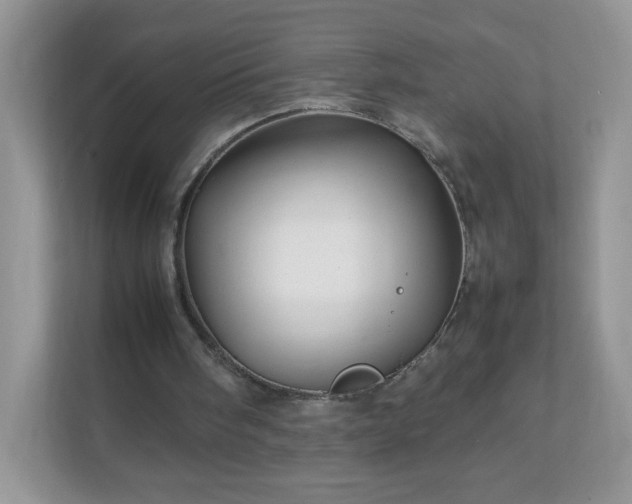 X0000111680098200907241241