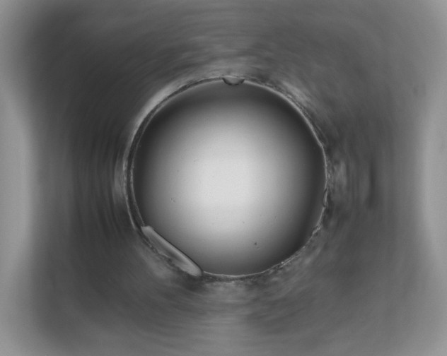 X0000111680100200907241241