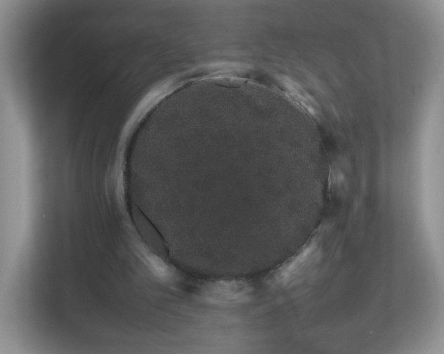 X0000111680101200907241241