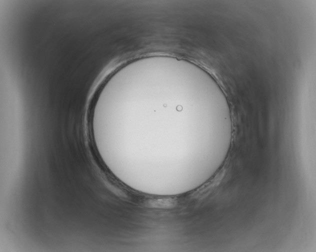 X0000111680102200907241241