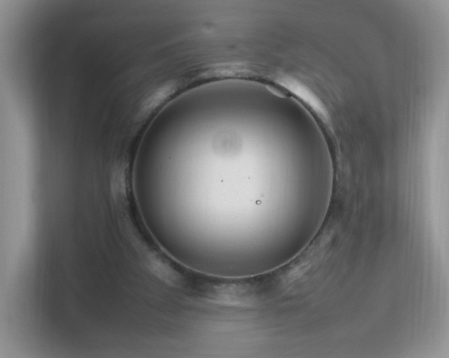 X0000111680105200907241241