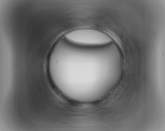 X0000111680107200907241241