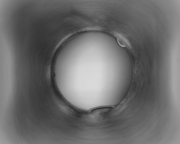 X0000111680108200907241241