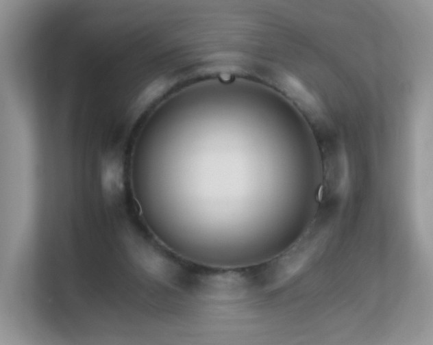 X0000111680112200907241241