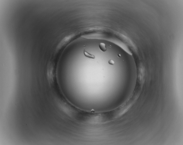 X0000111680116200907241241