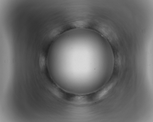 X0000111680117200907241241