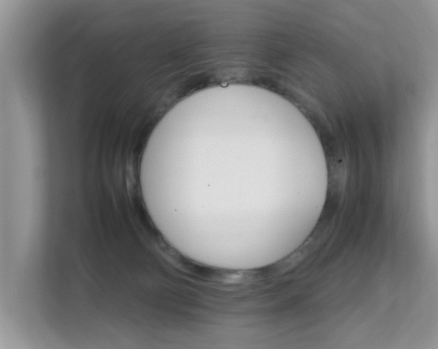 X0000111680130200907241241