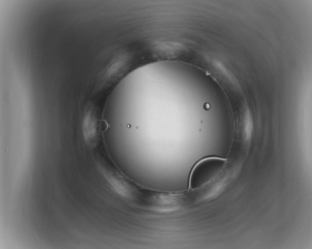 X0000111680134200907241241