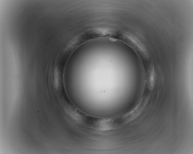 X0000111680136200907241241