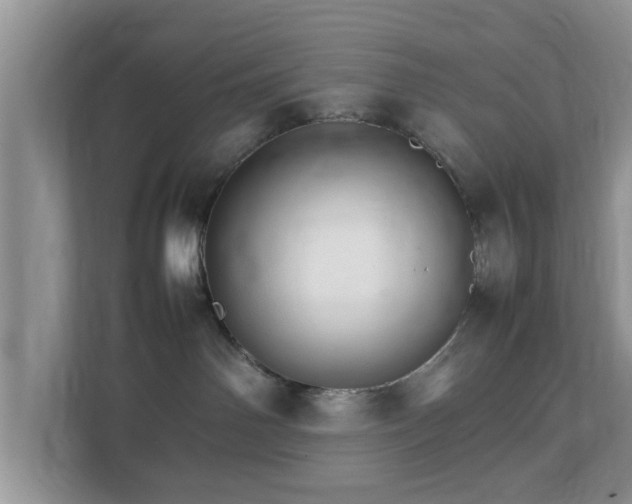 X0000111680142200907241240