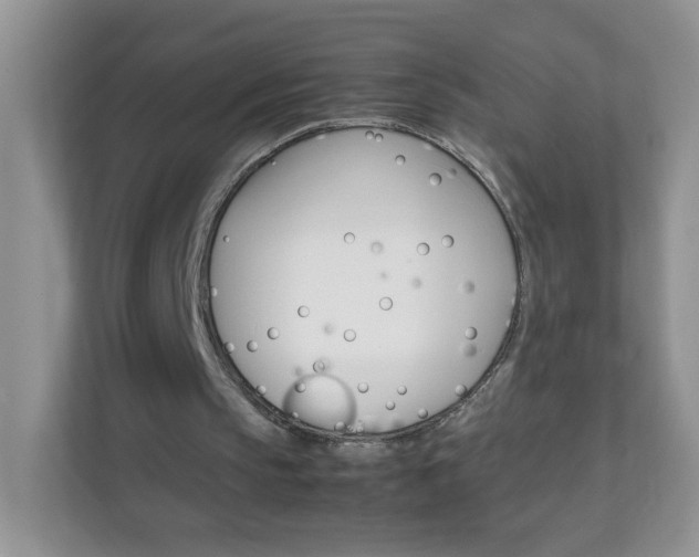 X0000111680145200907241240