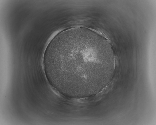 X0000111680147200907241240