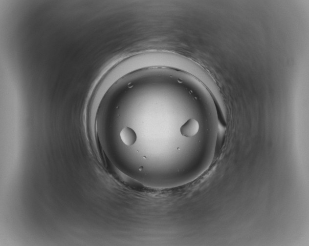 X0000111680148200907241240