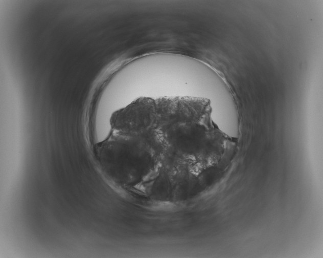 X0000111680149200907241240