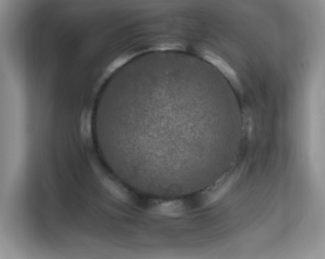 X0000111680155200907241240